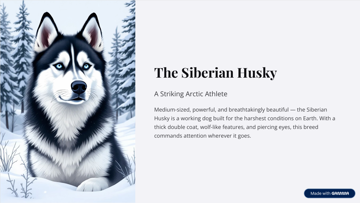 Before removing Made with Gamma watermark from PDF export