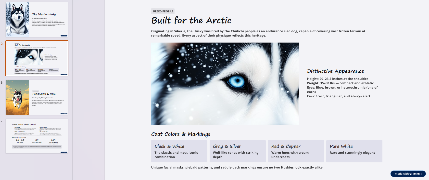 Before removing Made with Gamma watermark from PDF export